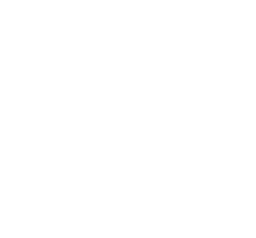 DS_Logo
